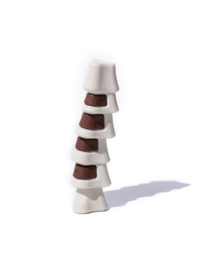 brinquedo de nylon para cães Bugz Pets Costelinha