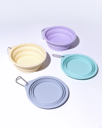 tigela retrátil de silicone para cães e gatos Bugz Pets nas cores roxa, verde, amarela e azul