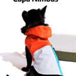 capa de chuva para cães Capa Nimbus da Bugz Pets