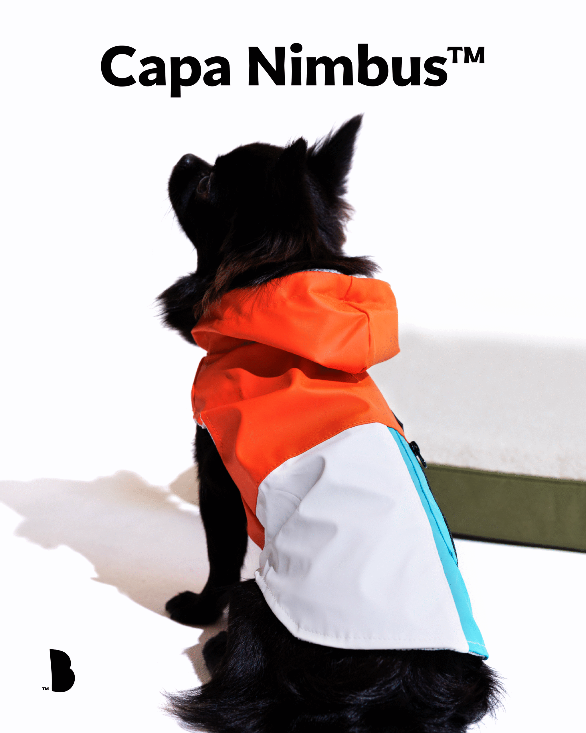 capa de chuva para cães Capa Nimbus da Bugz Pets