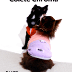 Cachorro usando o Colete Chroma roupa de frio para cachorro