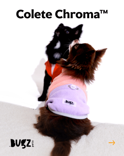 Cachorro usando o Colete Chroma roupa de frio para cachorro
